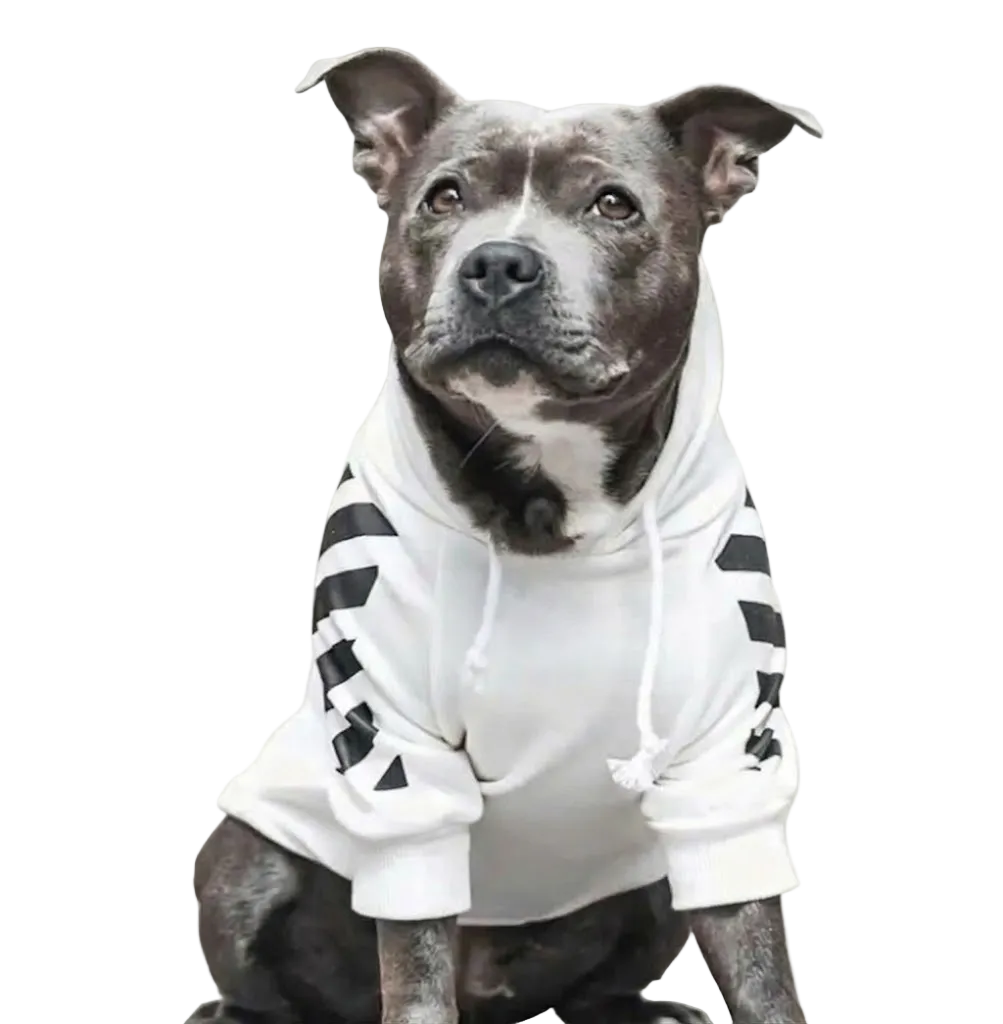 WOOF Dog Hoodie - White